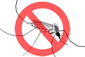 anti dengue
