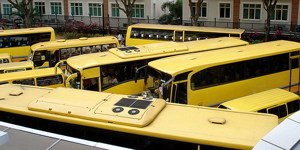 school-buses.jpg